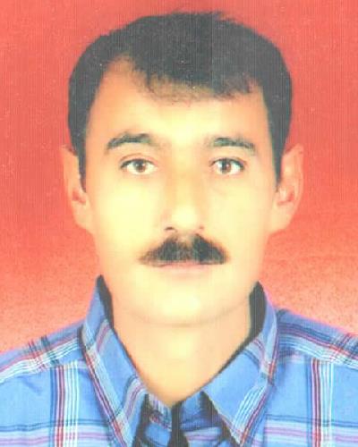 Bedel KAYA
