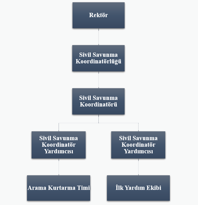 67_3032023152652210.png Organizasyon Şeması