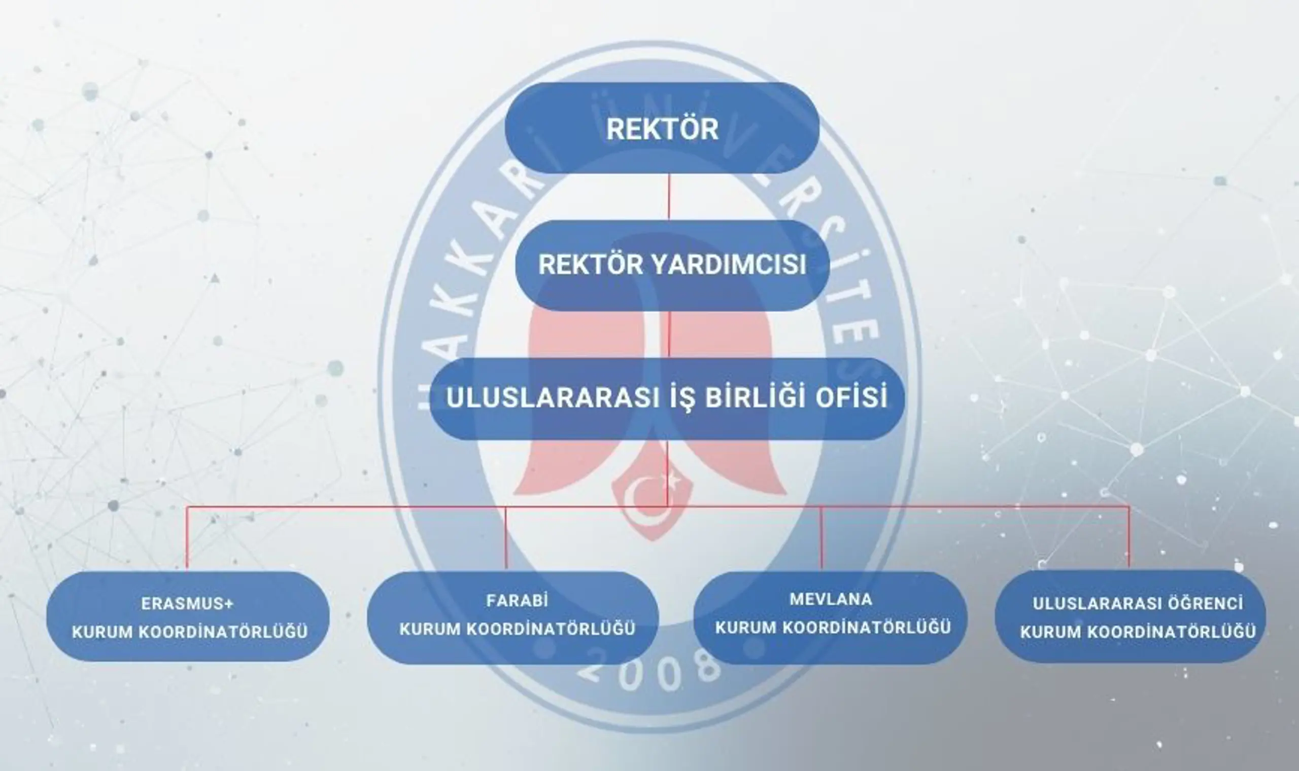 cf89dd08-b1d5-433b-94a1-bc33710099d2.png Organizasyon Şeması